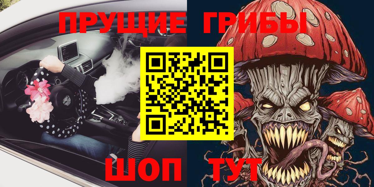 что такое   Псилоцибиновые грибы прущие грибы  Вход с VPN  Псилоцибиновые грибы мицелий  Егорьевск 