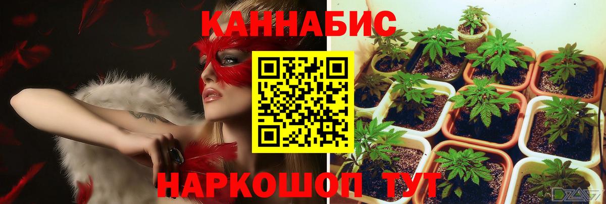 Шишки марихуана индика Егорьевск